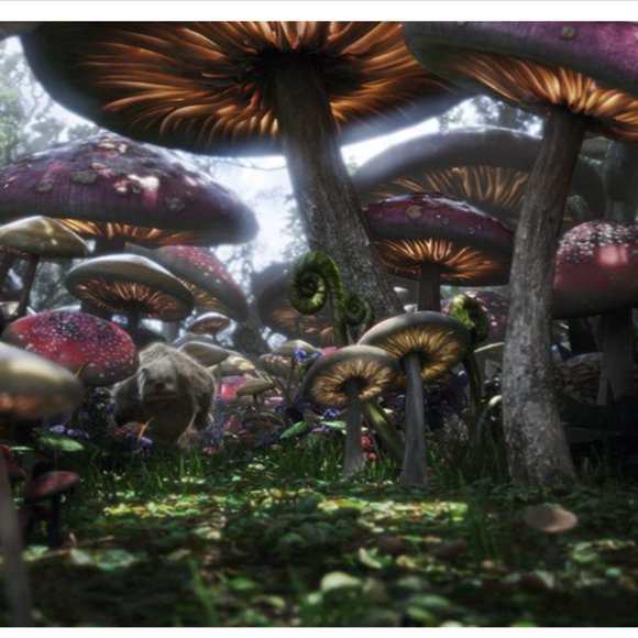 Alice in Wonderland DVD - Disney - Tim Burton - Picture 7 of 8